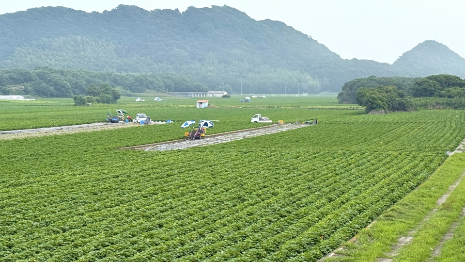 当農園について
